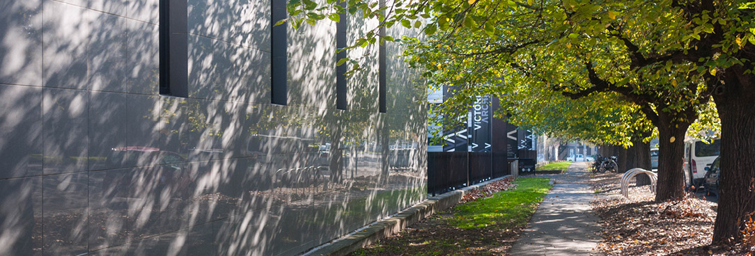 Outside Victorian Archives Centre A photo of a footpath lined by trees