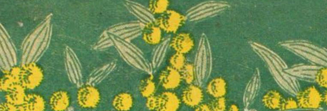 Wattle from the front cover of Fairy tales from the land of the wattle artwork of wattle from the book cover