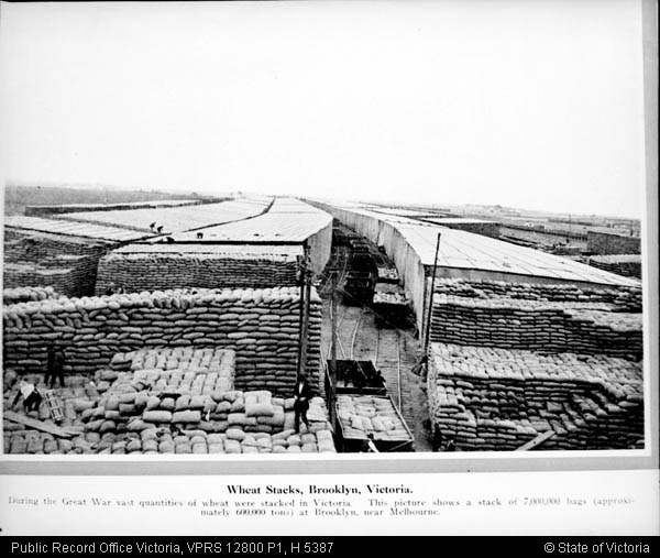 black and white photo of wheat stacks