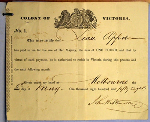 Chinese residence licence