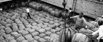 Black and white photo of crew unloading a ship. VPRS 8363/P2 unit 2 50177