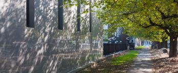 A photo of a footpath lined by trees
