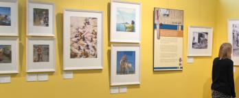 Woman looks at gallery