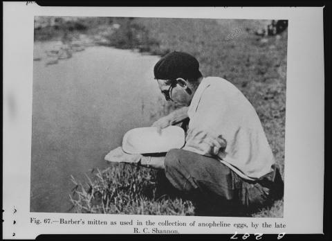  a man collecting eggs