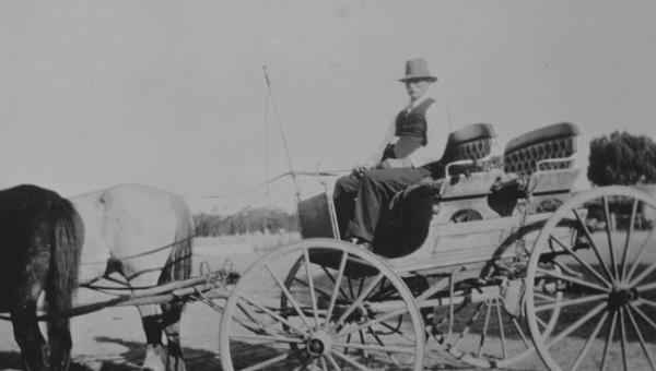 man on a horse and cart