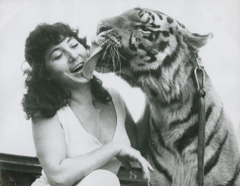 Animals and birds: showgrounds, circus, sanctuary, beach, The Age. VPRS 8357 P1 Unit2 Item010-105.